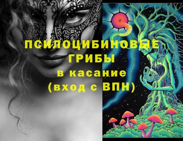 гидропоника Абаза