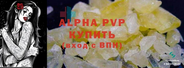 дживик Мегион